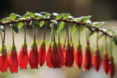 肇庆高要区2私人快速借钱网，轻松解决资金难题