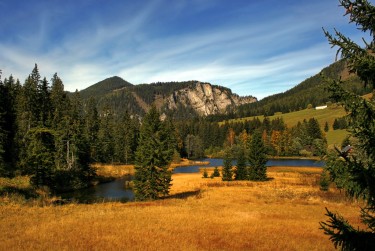 肇庆高要区2民间私贷攻略：揭秘低成本借贷的秘密