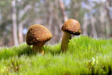 肇庆高要区2私人老板放款：轻松融资的秘密通道